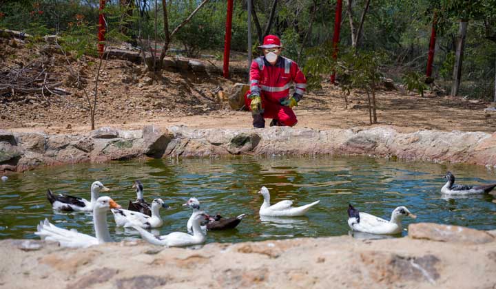 PARQUE TECNOLÓGICO AMBIENTAL GUAYABAL OPERADO POR  VEOLIA NORTE DE SANTANDER