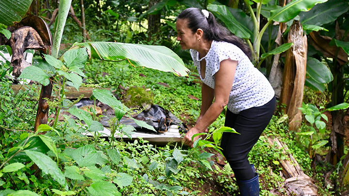 El vino se deja bajo la tierra. /La Opinión