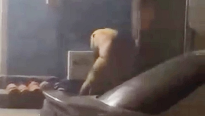 violencia a la mujer