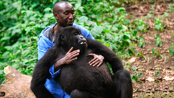 André Bauma y Ndakasi fueron amigos desde el mismo momento del rescate. 