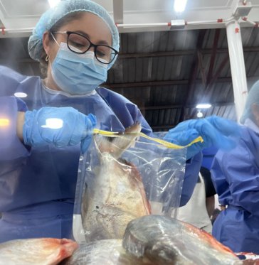 MEDIDAS DE SEGURIDAD EN CUCUTA PARA COMPRAR PESCADO 