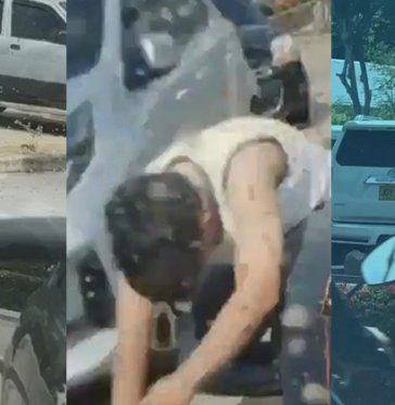 Emergencia en colegio de Cúcuta por ataque de abejas