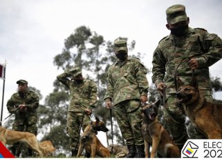 Así entrena el Ejército perros antiexplosivos para las elecciones./Foto: Colprensa