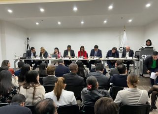 El CNE seguirá esta semana con las audiencias para resolver las revocatorias de candidaturas./Foto cortesía