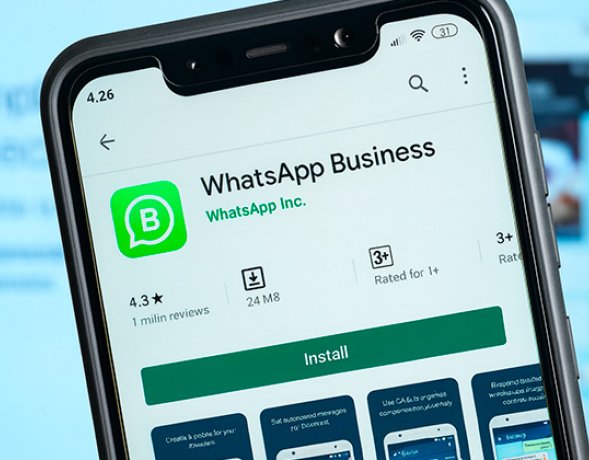 WhatsApp Business. / Foto cortesía