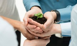 Sostenibilidad en las empresas