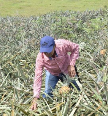 Una mirada audiovisual al Catatumbo.