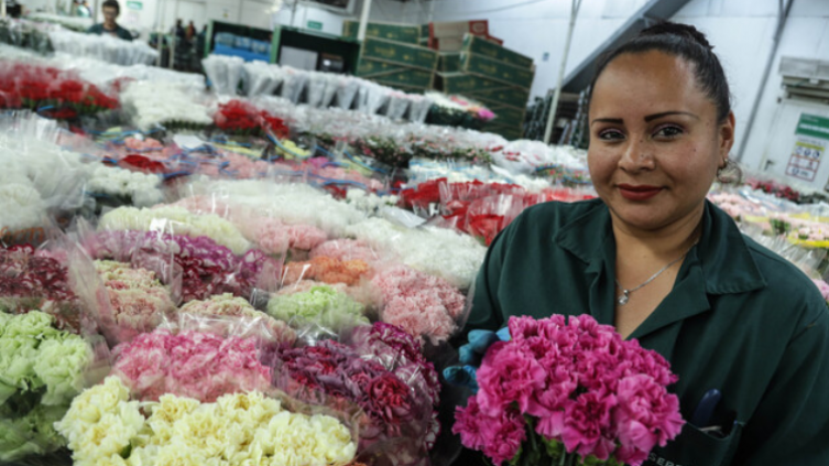 Flores de San Valentin