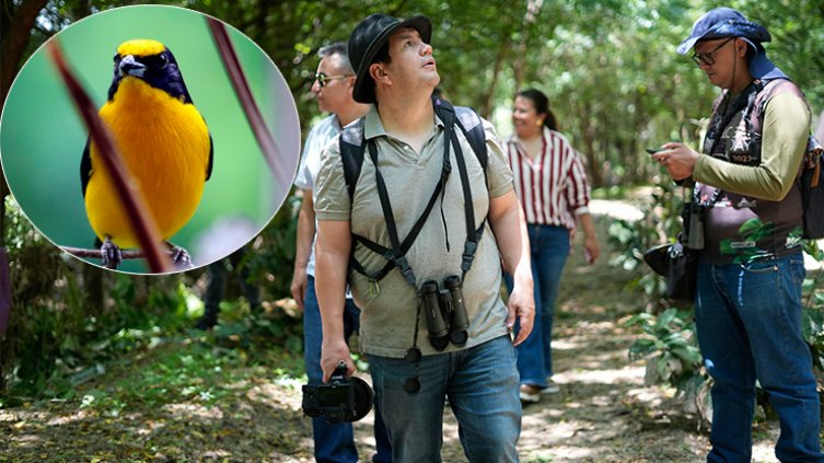 Avistamiento de aves en el parque Playa de Cúcuta. / Foto Carlos Ramírez y cortesía-La Opinión