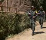 La disidencia del frente 33 de las Farc hace presencia actualmente en Tibú, Sardinata, El Tarra y Teorama, pero su plan de expansión sigue./ Foto: archivo