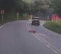Muerte accidente en El Zulia. 