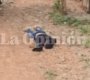 Muerto en San Gerardo. 