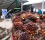 Exportaciones de Colombia y Norte de Santander a Venezuela. / Foto: La Opinión