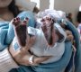 Niños nacidos en Colombia, hijos de padres venezolanos 