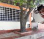 CHAPINERO