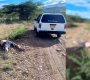 Muerto Patillales
