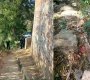 Encostalado
