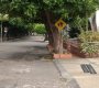 En esta calle del barrio Los Caobos fue apuñalado ayer un vigilante informal  por un habitante de calle/Foto la Opinión