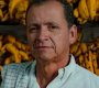 Papá-de-greeicy