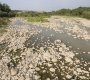 Históricamente las fuentes hídricas reciben fuerte impacto durante el fenómeno de El Niño/Foto: archivo