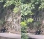Ataque en zona rural de El Carmen deja una mujer Policía herida