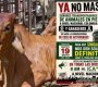 PARO GANADERO 