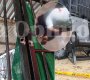 El crimen ocurrió en un expendio de licor. / Foto La Opinión