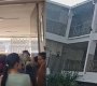 Emergencia en colegio de Cúcuta por ataque de abejas