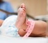 ¿Qué pasa si se come la placenta después del parto?