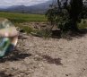 Vereda Cañahuate