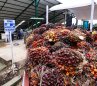Exportaciones de Colombia y Norte de Santander a Venezuela. / Foto: La Opinión