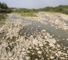 Históricamente las fuentes hídricas reciben fuerte impacto durante el fenómeno de El Niño/Foto: archivo