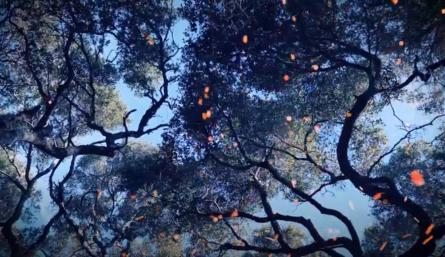 El tema 'Los àrboles' se puede escuchar en las plataformas.  