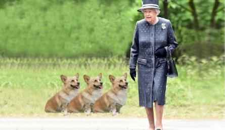 La reina Isabel II 'devastada' por la muerte de sus cachorros