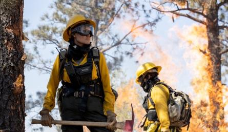 Angelina Jolie es la protagonista. / Foto: Cortesía