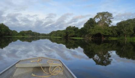  SEÑAL COLOMBIA LE APUESTA A LOS DOCU-REALITYS