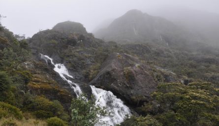 Propuestas ambientales para preservar los ecosistemas de Norte