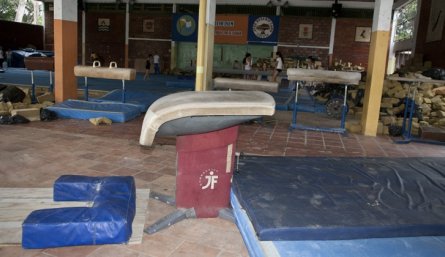 El colegio Inem José Eusebio Caro fue la primera casa de la gimnasia.