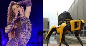 Perro-Robot-Shakira