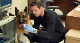 ‘Hudson & Rex’ vuelven a la carga: AXN estrena su segunda temporada.