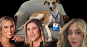 Dayana Jaimes felicita a la perra de Copetran