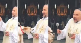 El perrito que sorprendió a un sacerdote en plena bendición: El video se viralizó