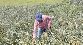 Una mirada audiovisual al Catatumbo.