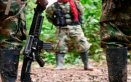 Disidencias de las Farc.