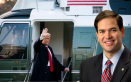 Marco Rubio- Donald Trump