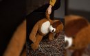Abuso-sexual-de-una-niña-en-Cartagena