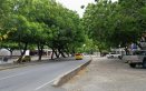 Avenida Los Libertadores - entrada Niza.
