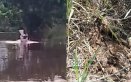 Captan hipopótamo en Santander y alertan por su actitud agresiva