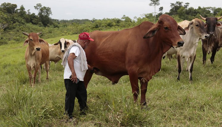 Las zonas rurales del país tienen un mayor déficit de vivienda que las zonas urbanas. Este escenario también se presenta en el departamento / Foto Archivo La Opinión
