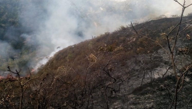 La época de sequía de principio de año enciende las alarmas de incendios forestales./ Foto: Cortesía.  